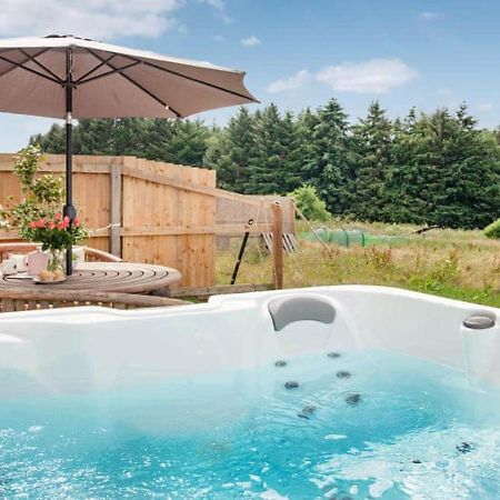 Cosy Cottage In The Blackdown Hills Devon Honiton Exterior foto