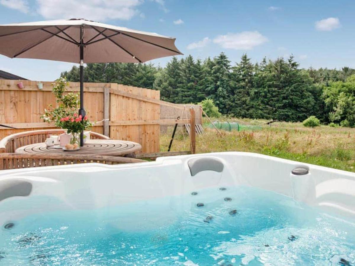 Cosy Cottage In The Blackdown Hills Devon Honiton Exterior foto