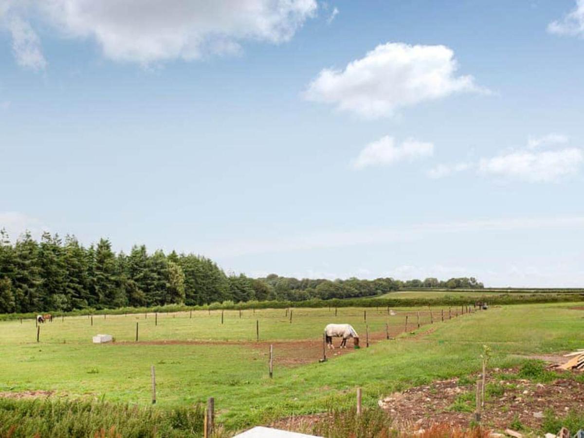 Cosy Cottage In The Blackdown Hills Devon Honiton Exterior foto